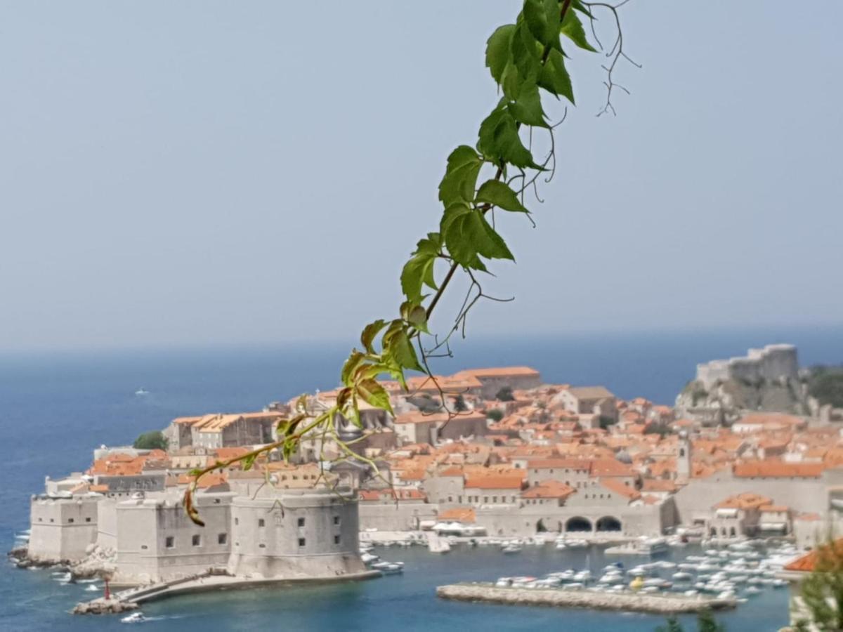 Studio Apartment Bupic- Close To Old City With Free Parking Dubrovnik Exterior foto